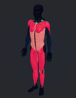 Crossfit 3D Muscle Load Visualization